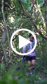 BIB:  <button type="button" onclick="openModal(28056358)" class="btn btn-primary btn-sm float-right" data-toggle="modal" data-target=".modal-high-quality">
                <i class="fa fa-download"></i> Download
                </button>